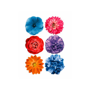 Sottobicchieri Bouquet Garden – Set 6 pezzi Garden