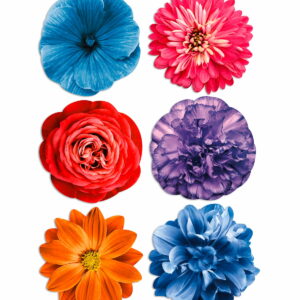 Tovagliette Tonde Bouquet Garden – Set Completo Garden