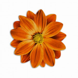 Tovaglietta Tonda Bouquet Garden – Fiore Arancio
