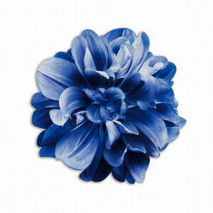 Tovaglietta Tonda Bouquet Garden – Fiore Blu