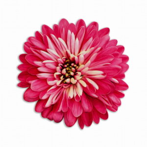 Tovaglietta Tonda Bouquet Garden – Fiore Fucsia