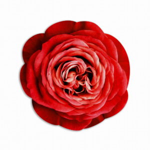 Tovaglietta Tonda Bouquet Garden – Rosa Rossa