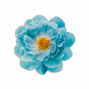 Tovaglietta Tonda Bouquet Spring – Fiore Celeste