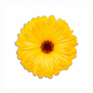 Tovaglietta Tonda Bouquet Spring – Fiore Giallo
