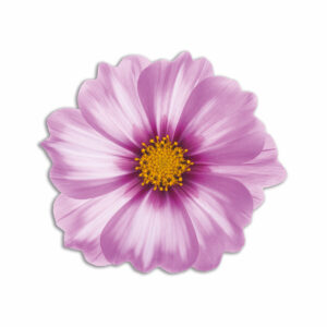Tovaglietta Tonda Bouquet Spring – Fiore Lilla