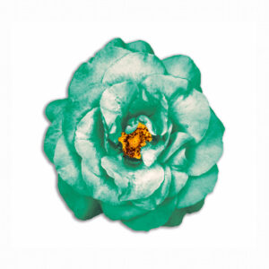 Tovaglietta Tonda Bouquet Spring – Fiore Verde Acqua