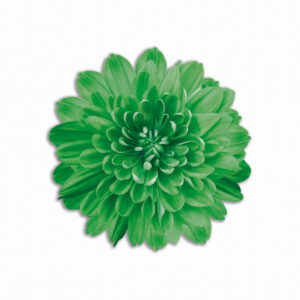 Tovaglietta Tonda Bouquet Spring – Fiore Verde